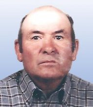 Manuel Custódio Ruivo