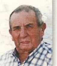 António Luís Mestre