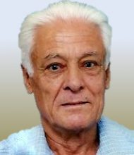 Manuel Estevão Palma
