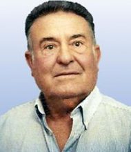 José dos Santos Coelho Palma